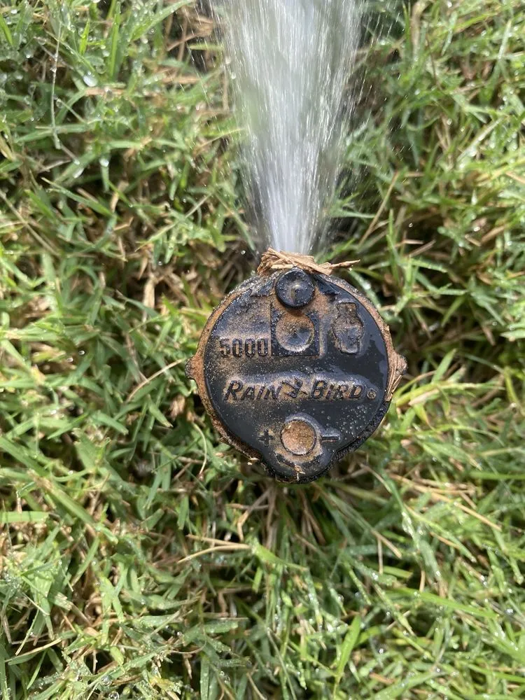 Expert yard cleanup service in Saginaw, TX by Jett Irrigation and Landscaping