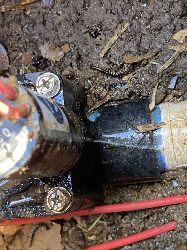 Local yard cleanup service in Saginaw, TX - Jett Irrigation and Landscaping