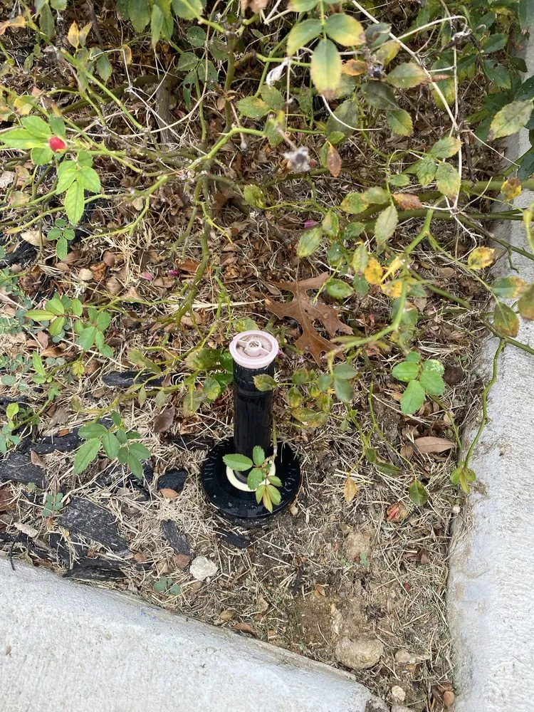 Reliable yard maintenance for outdoor upgrades in Saginaw, TX by Jett Irrigation and Landscaping