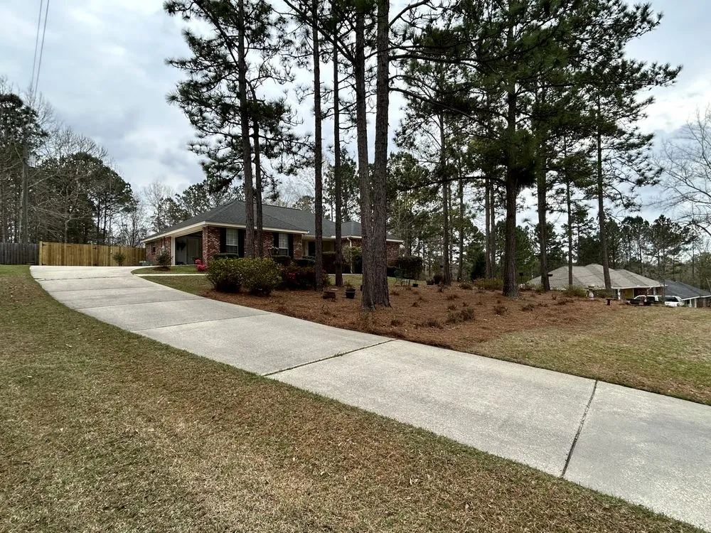 Reliable landscaping services in Petal, MS - Jett Property Services