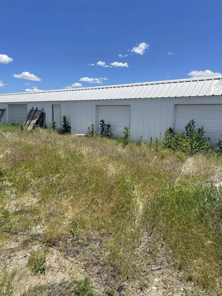 Expert landscaping services in Amarillo, TX by Jetts Landscaping