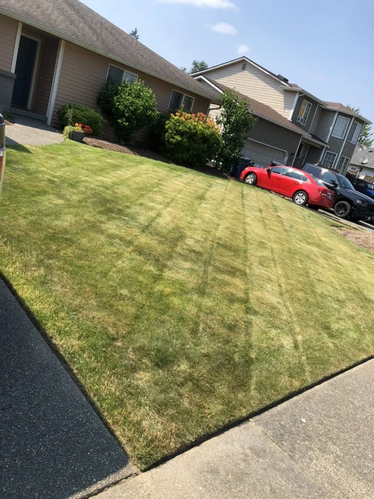 Affordable lawn mowing service in Lynnwood, WA - Jevin's Landscaping