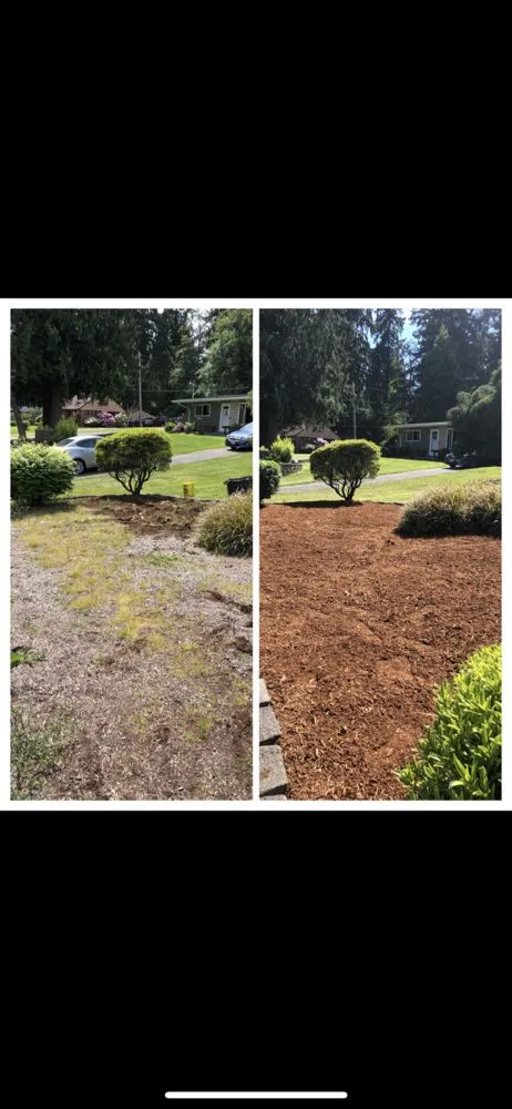 Expert yard maintenance in Lynnwood, WA by Jevin's Landscaping