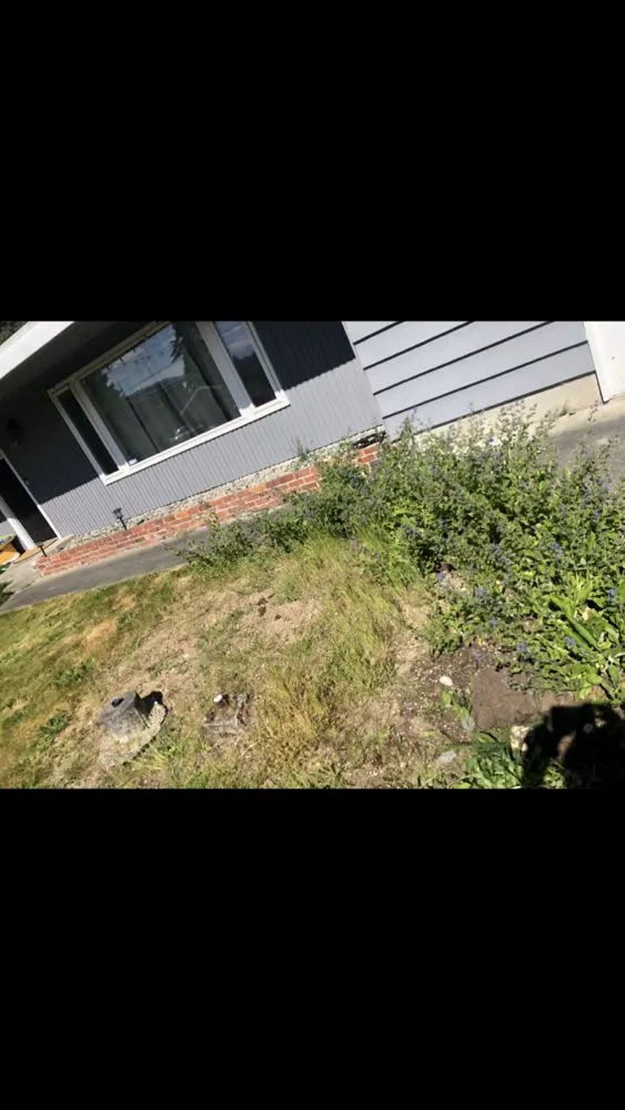 Reliable garden landscaping experts serving Lynnwood, WA - Jevin's Landscaping