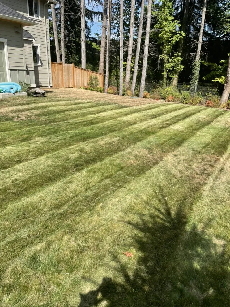 Reliable landscape installation for year-round maintenance in Lynnwood, WA by Jevin's Landscaping
