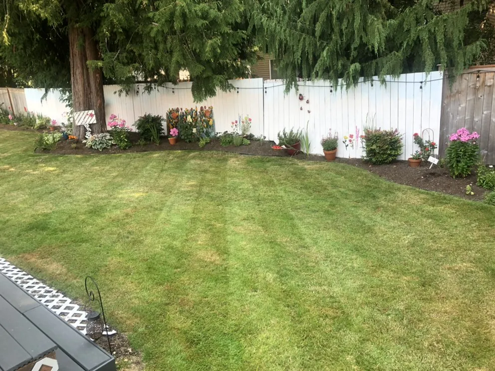 Professional yard cleanup service in Lynnwood, WA by Jevin's Landscaping