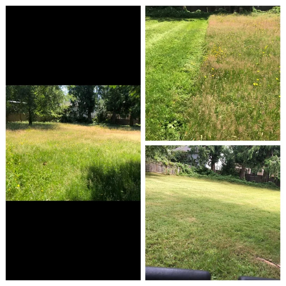 Local landscaping services in Lynnwood, WA by Jevin's Landscaping