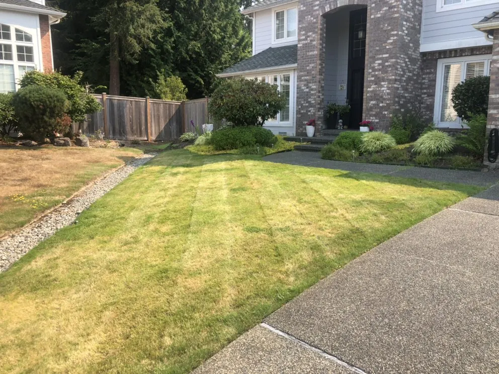 Local yard cleanup service with custom design in Lynnwood, WA by Jevin's Landscaping
