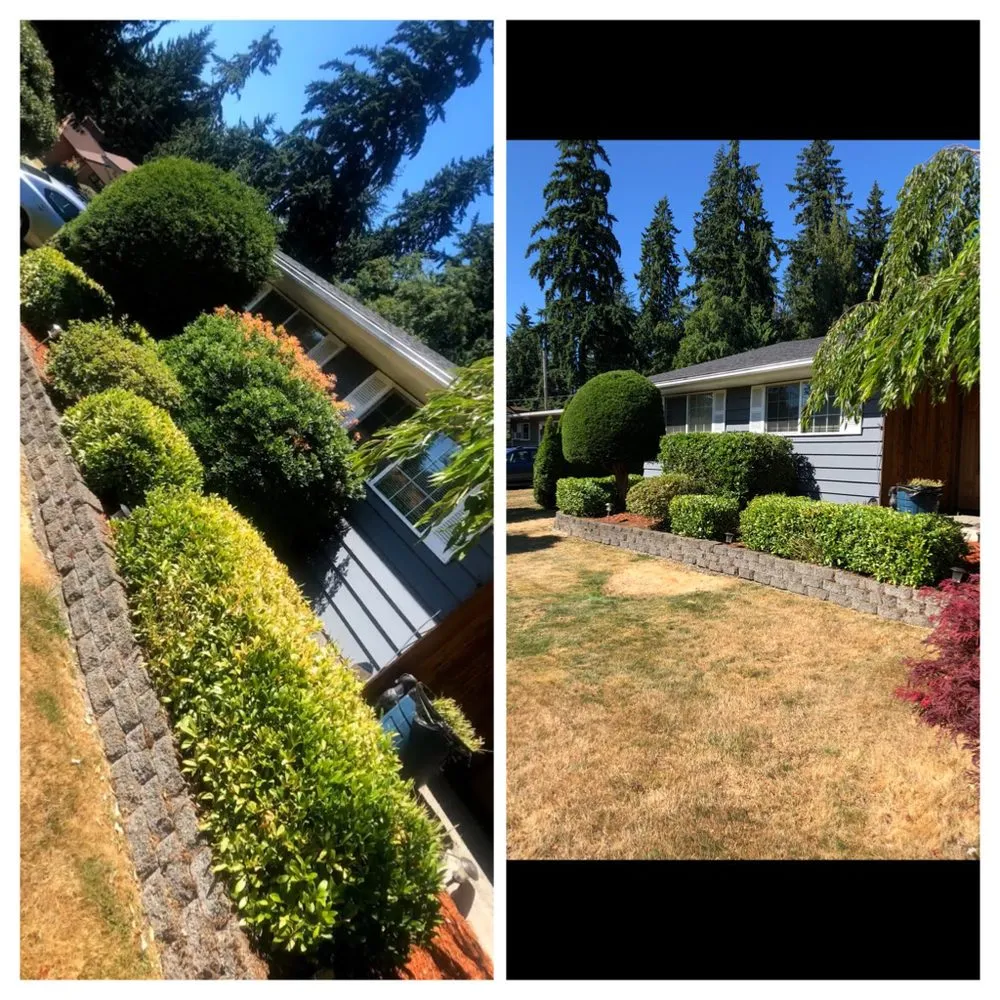 Custom outdoor landscaping in Lynnwood, WA by Jevin's Landscaping