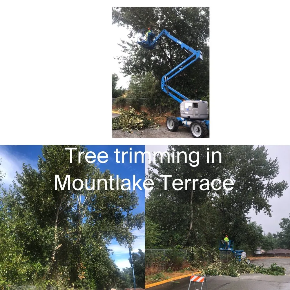 Reliable yard cleanup service for year-round maintenance in Lynnwood, WA by Jevin's Landscaping