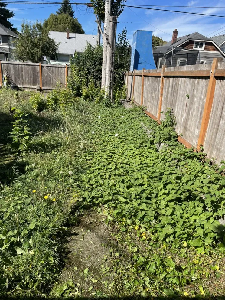 Affordable lawn care service for homes in Lynnwood, WA by Jevin's Landscaping