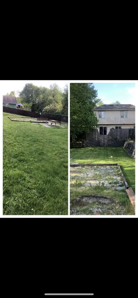 Top-rated lawn care service for residential properties across Lynnwood, WA - Jevin's Landscaping