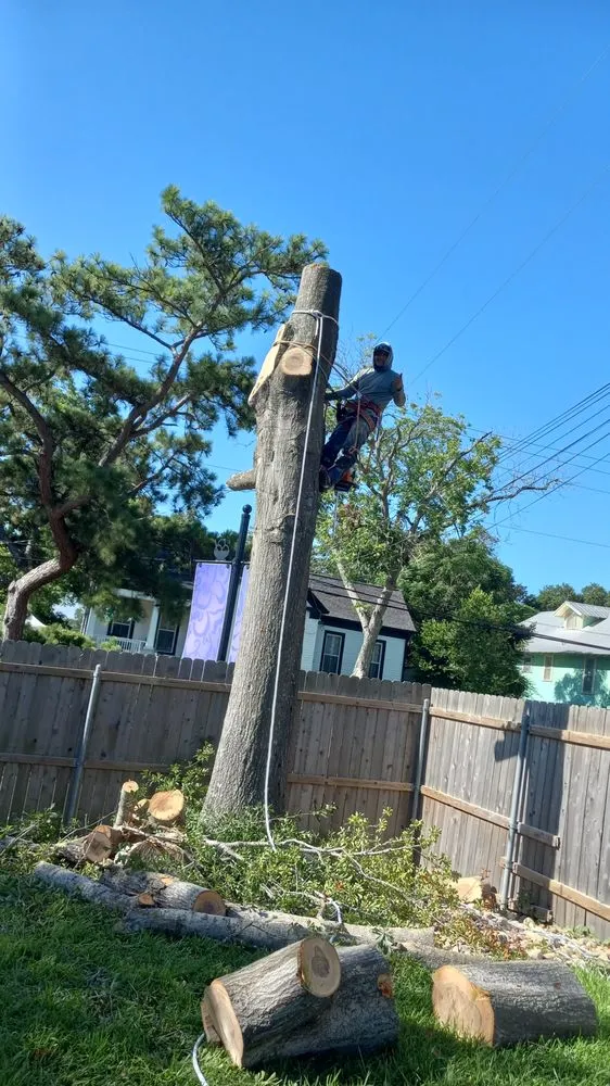 Trusted yard cleanup service experts serving Brenham, TX - Jewel Garden Tree Services and Landscaping