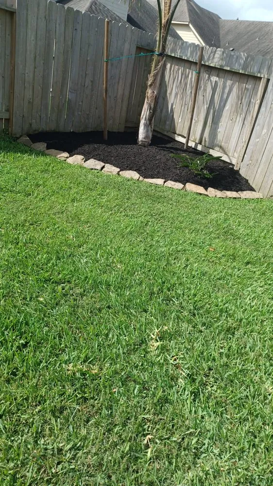 Top-rated lawn mowing service in Dickinson, TX by Jeysons Landscaping Services