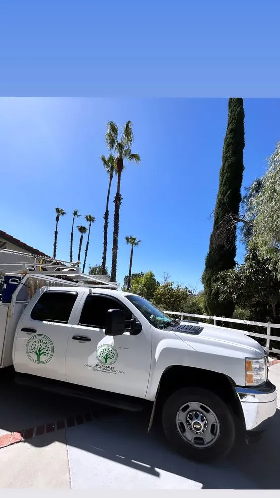 Reliable yard cleanup service for beautiful yards in Canoga Park, CA by JF Gonzalez Landscape Maintenance