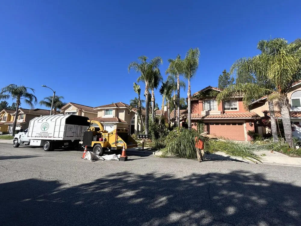 Professional outdoor landscaping for residential properties in Canoga Park, CA by JF Gonzalez Landscape Maintenance