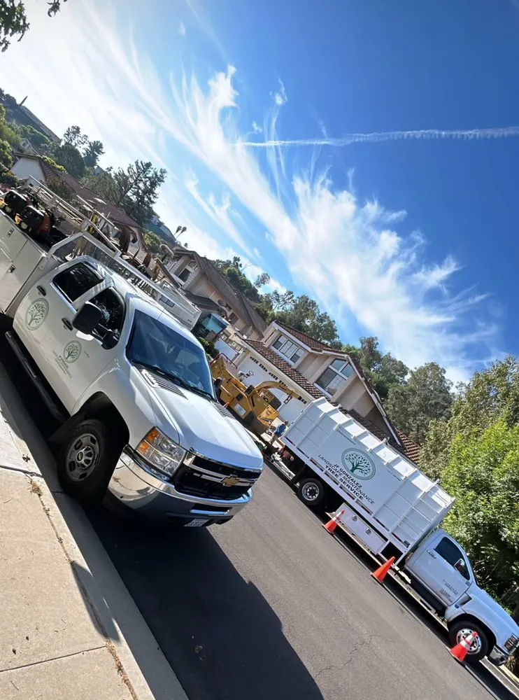 Local landscaping services for year-round maintenance in Canoga Park, CA by JF Gonzalez Landscape Maintenance