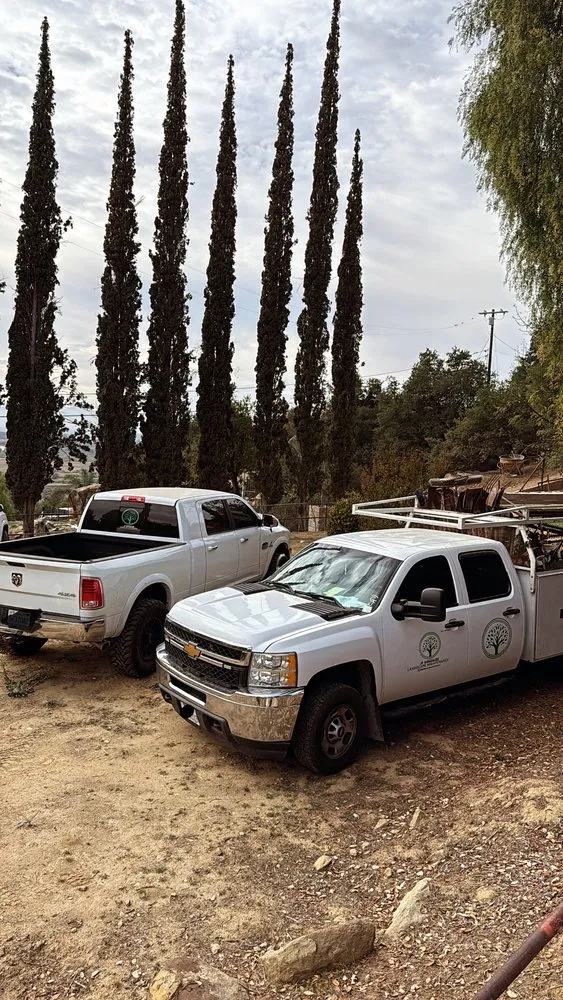 Custom landscape installation in Canoga Park, CA - JF Gonzalez Landscape Maintenance
