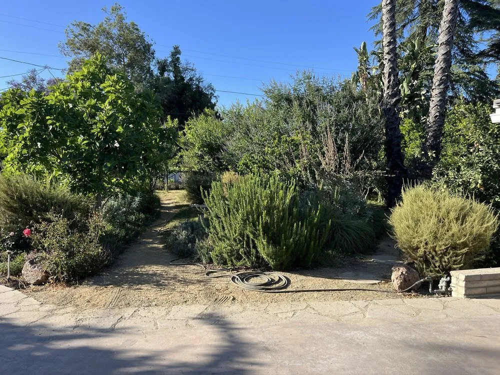 Top-rated garden landscaping in Canoga Park, CA - JF Gonzalez Landscape Maintenance