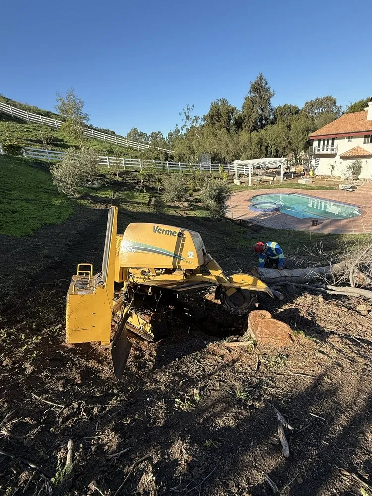 Affordable landscaping services in Canoga Park, CA - JF Gonzalez Landscape Maintenance