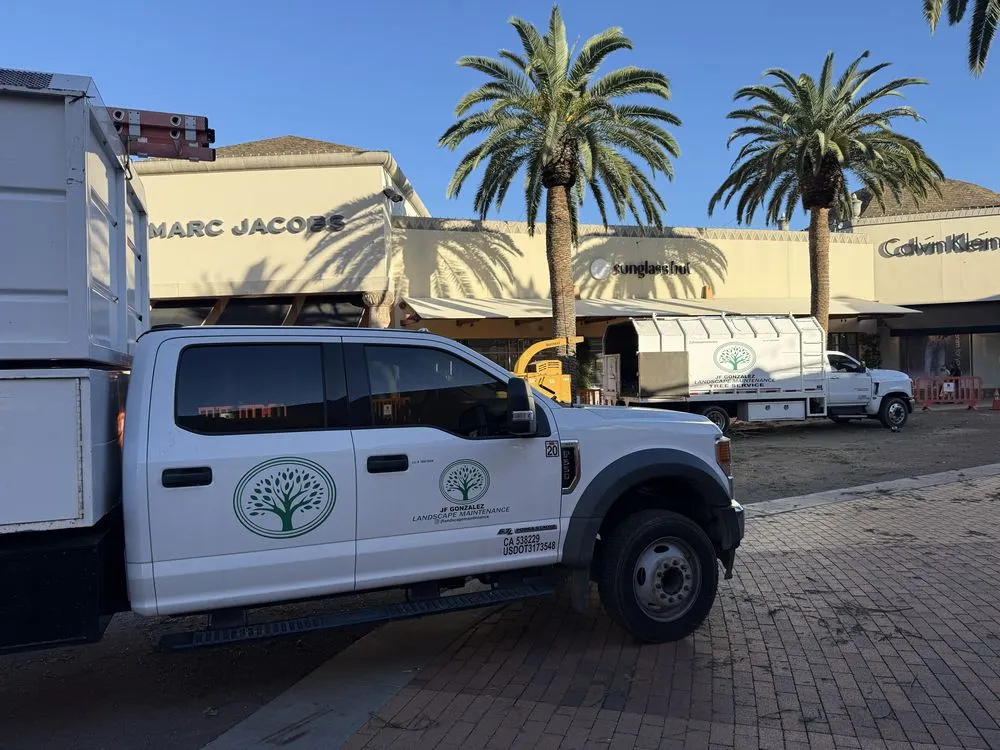 Expert yard cleanup service in Canoga Park, CA by JF Gonzalez Landscape Maintenance