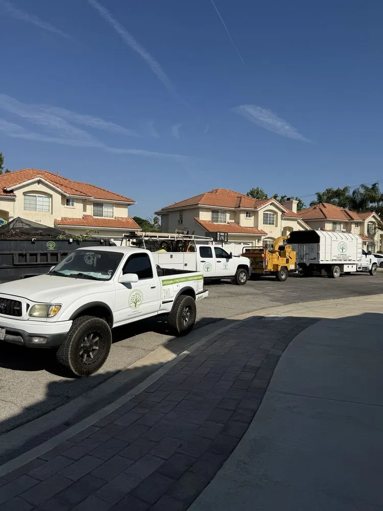 Expert residential landscaping in Canoga Park, CA by JF Gonzalez Landscape Maintenance