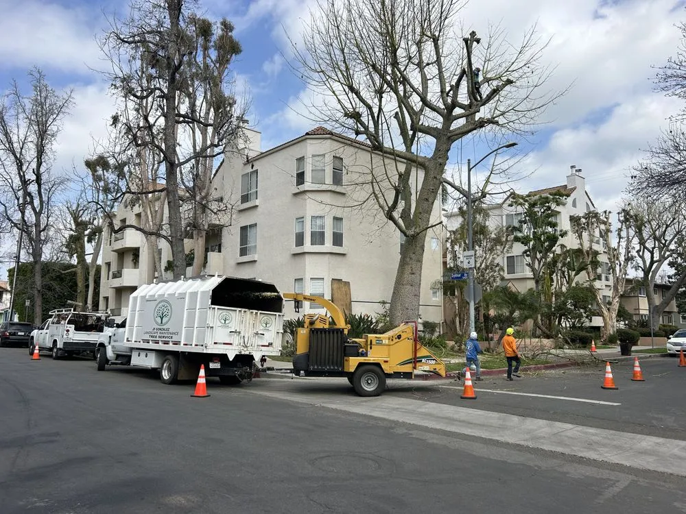 Trusted landscape installation in Canoga Park, CA - JF Gonzalez Landscape Maintenance