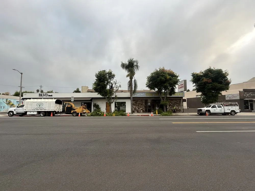 Professional outdoor landscaping for beautiful yards across Canoga Park, CA - JF Gonzalez Landscape Maintenance