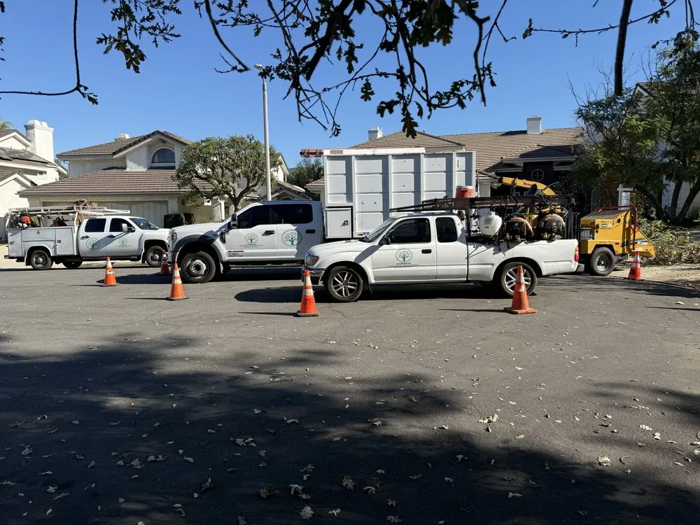 Affordable yard maintenance in Canoga Park, CA by JF Gonzalez Landscape Maintenance