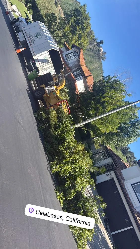 Trusted landscape installation in Canoga Park, CA - JF Gonzalez Landscape Maintenance