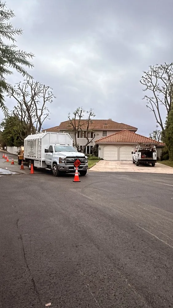 Reliable lawn care service experts serving Canoga Park, CA - JF Gonzalez Landscape Maintenance