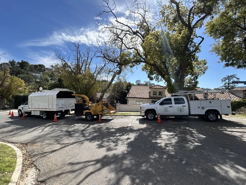 Expert yard cleanup service with custom design in Canoga Park, CA by JF Gonzalez Landscape Maintenance