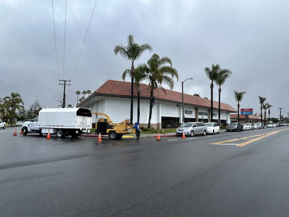 Trusted residential landscaping for outdoor upgrades in Canoga Park, CA by JF Gonzalez Landscape Maintenance