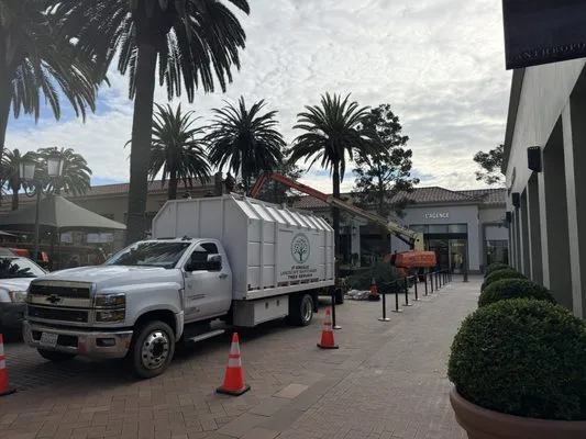 JF Gonzalez Landscape Maintenance