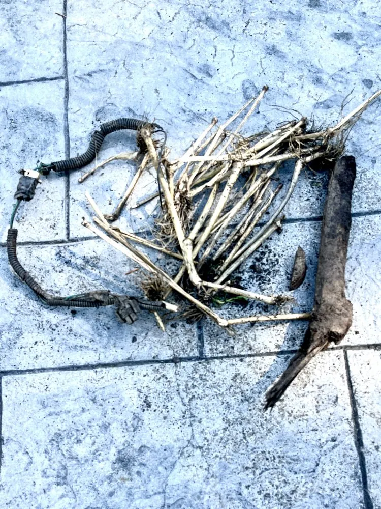 Affordable residential landscaping in North Tonawanda, NY - J.F. Krantz Topsoil & Nursery