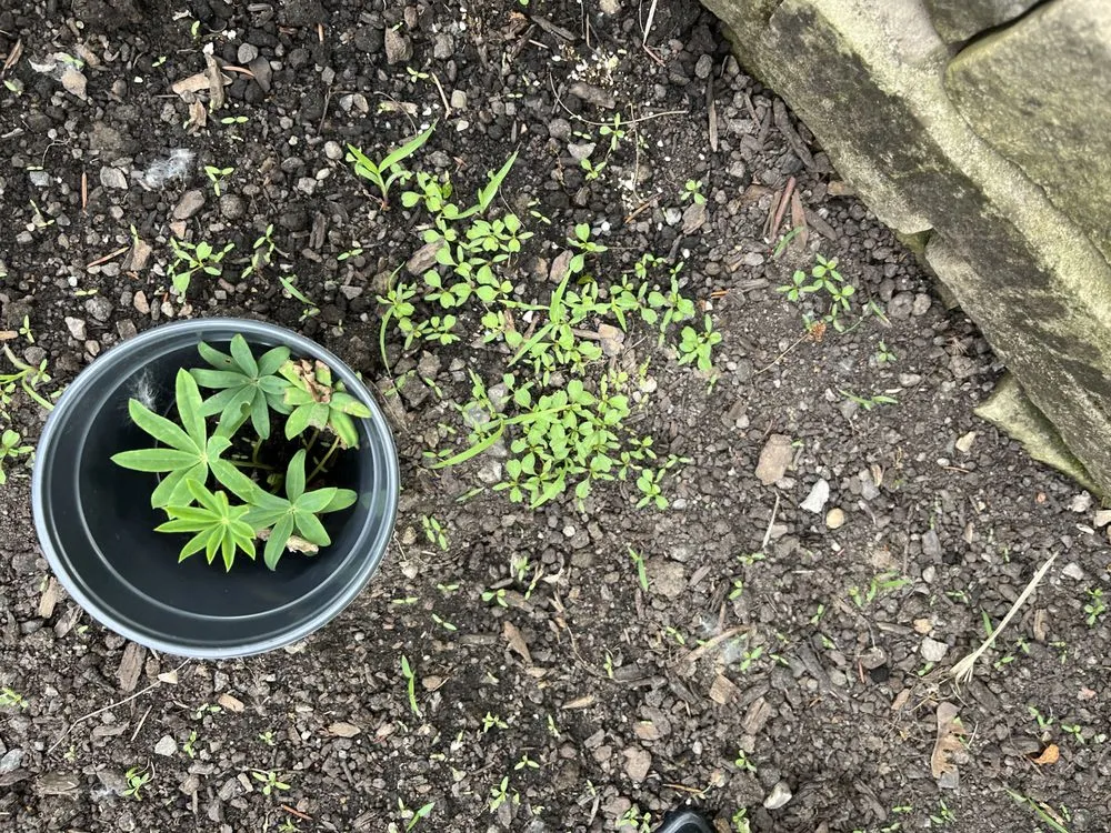 Reliable landscape installation with custom design in North Tonawanda, NY by J.F. Krantz Topsoil & Nursery