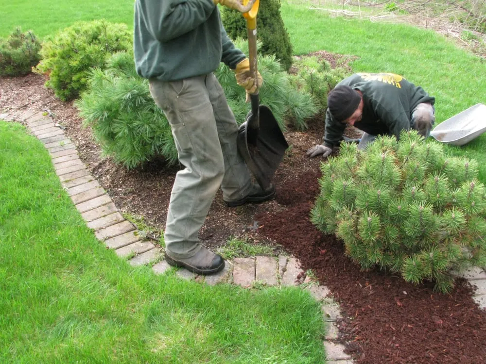 Professional landscaping services in Fairfax, VA - JF Landscaping