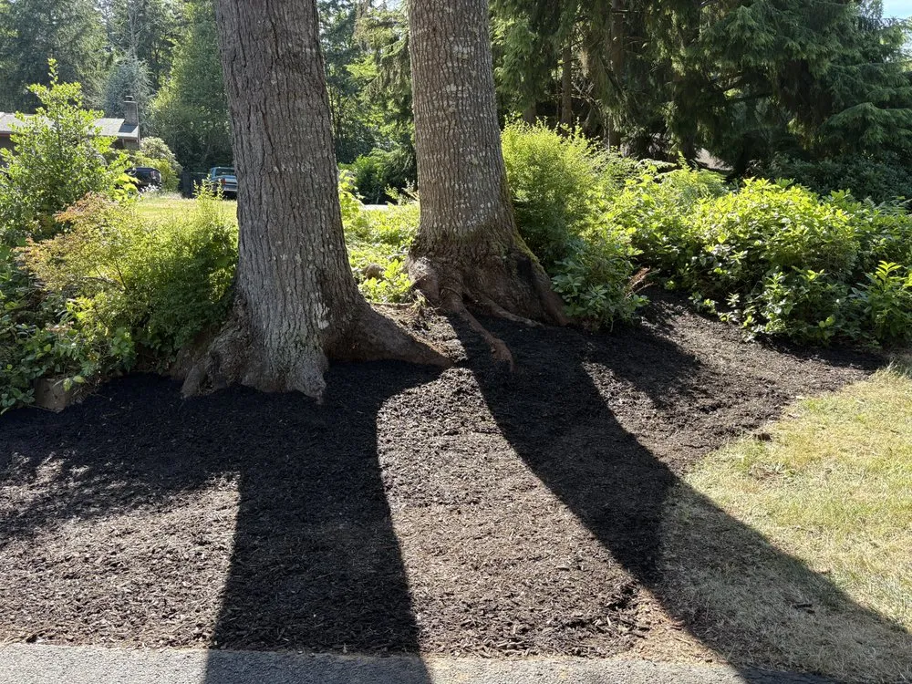 Affordable yard maintenance near you in Chehalis, WA by JF Lawn Services