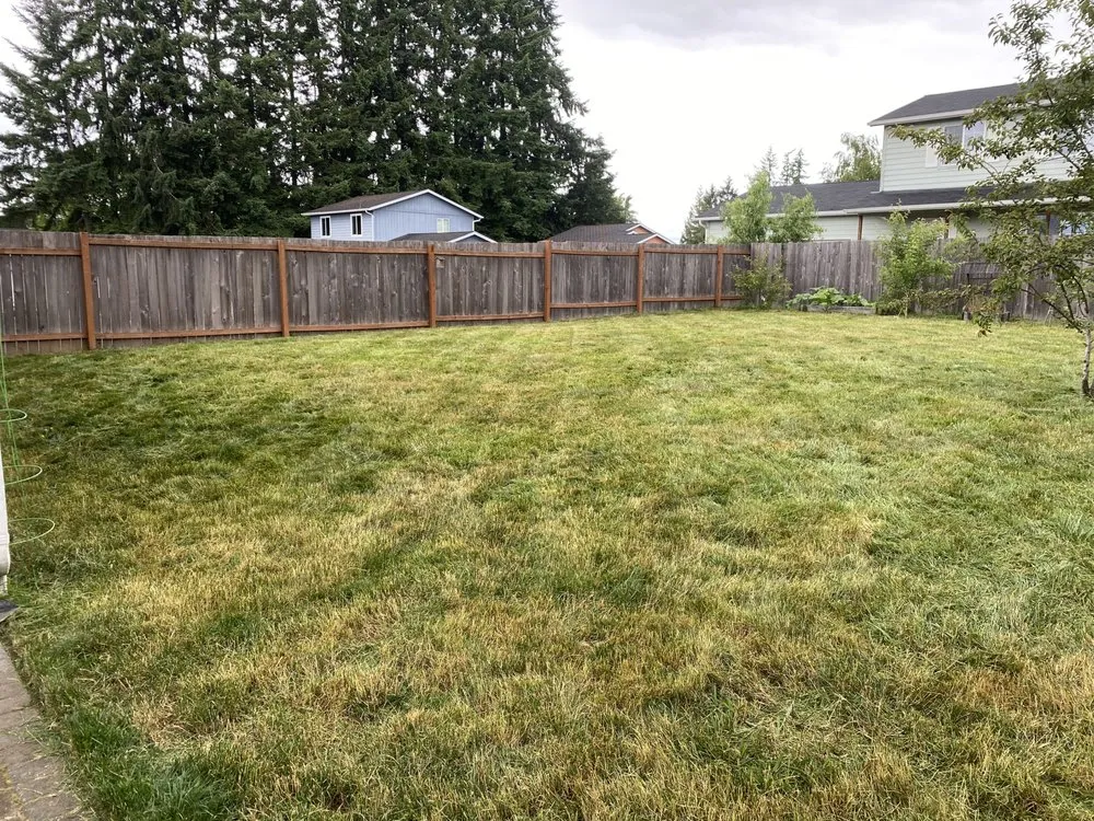 Expert residential landscaping in Chehalis, WA - JF Lawn Services