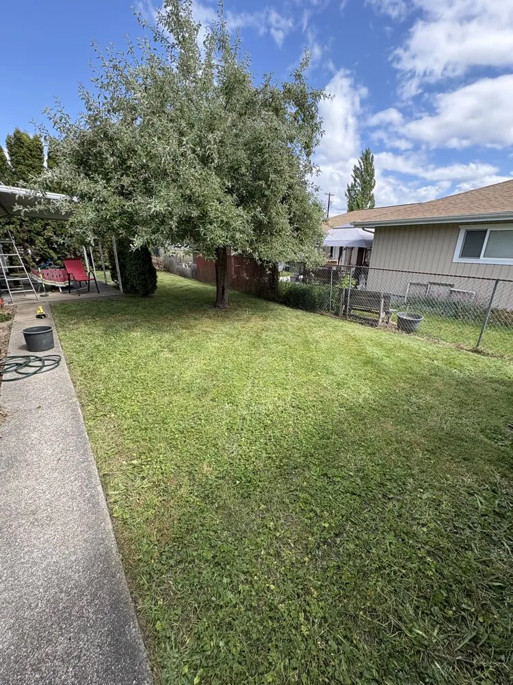 Local outdoor landscaping experts serving Chehalis, WA - JF Lawn Services