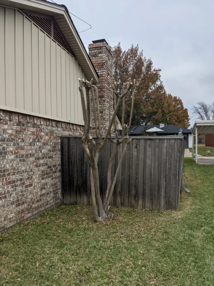 Custom landscaping services experts serving Sanger, TX - Jf Mendoza Landscape