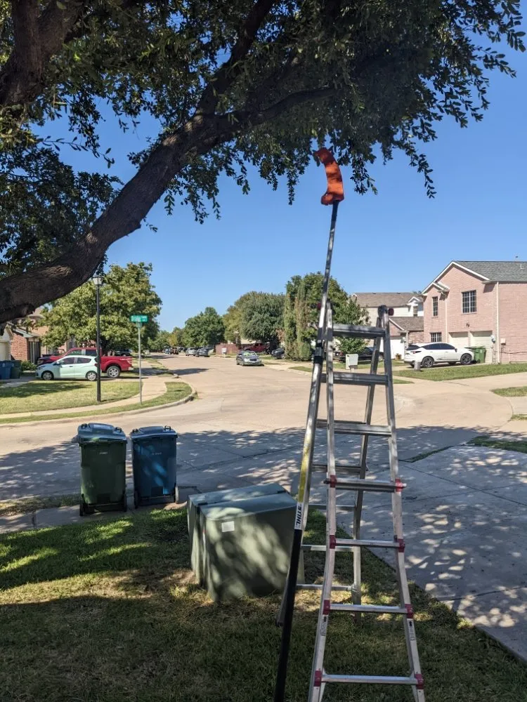 Professional outdoor landscaping for residential properties in Sanger, TX by Jf Mendoza Landscape