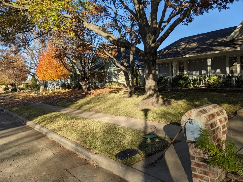 Expert lawn care service near you across Sanger, TX - Jf Mendoza Landscape