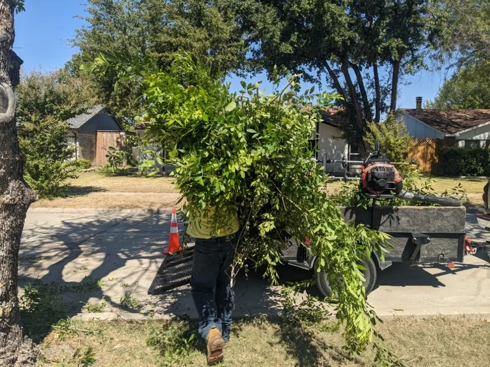 Top-rated landscape design for residential properties in Sanger, TX by Jf Mendoza Landscape