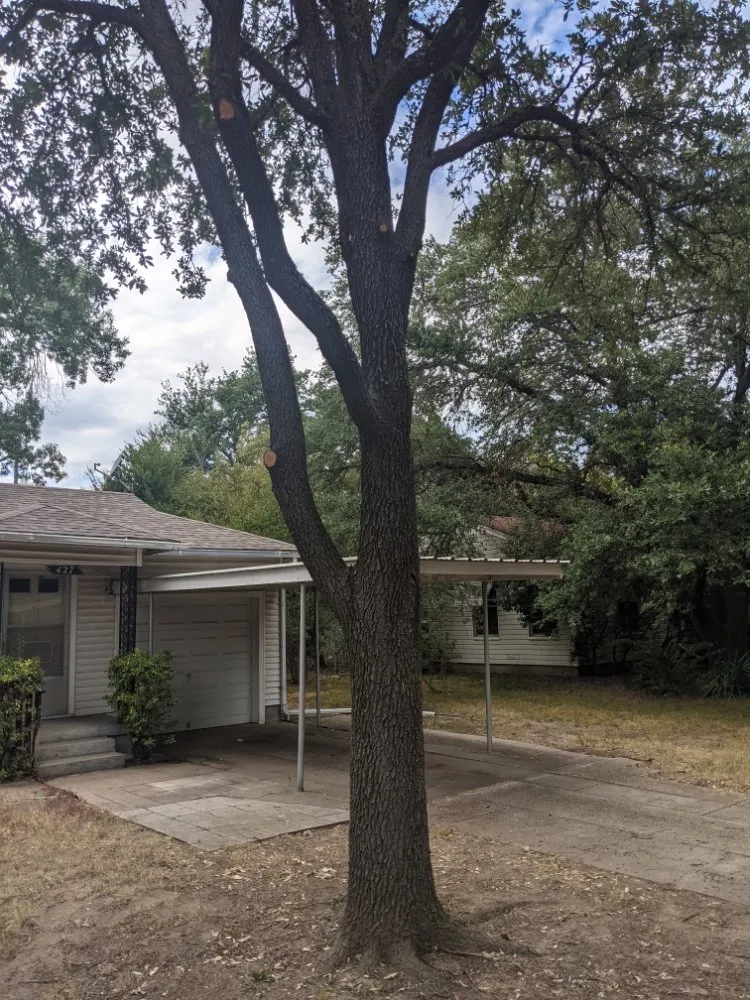 Reliable lawn mowing service experts serving Sanger, TX - Jf Mendoza Landscape