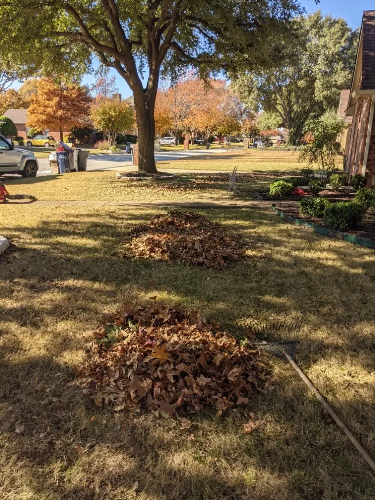 Local lawn care service for beautiful yards across Sanger, TX - Jf Mendoza Landscape