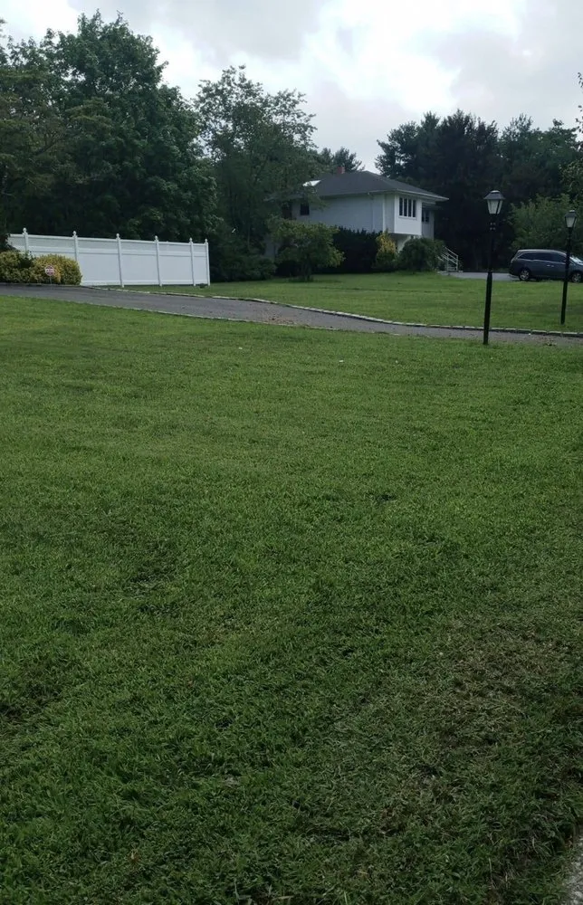 Expert yard cleanup service for residential properties across Winston-Salem, NC - JF Mendoza Lawn Care