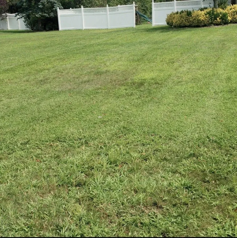 Expert yard cleanup service experts serving Winston-Salem, NC - JF Mendoza Lawn Care