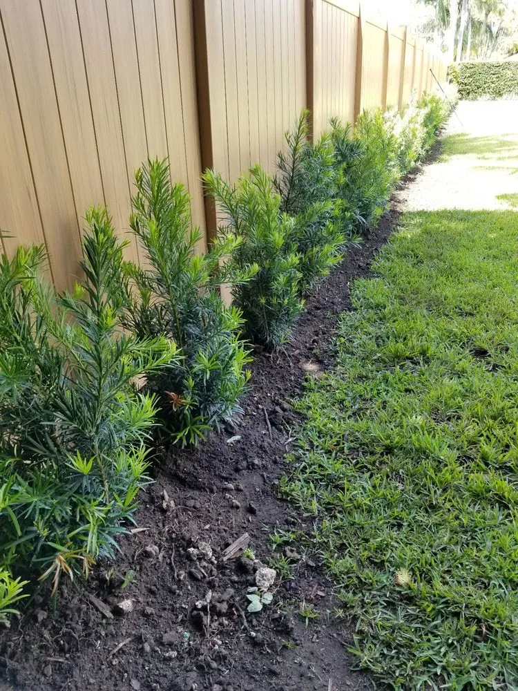 Professional landscape design for homes across Homestead, FL - Jf Nursery & Landscaping