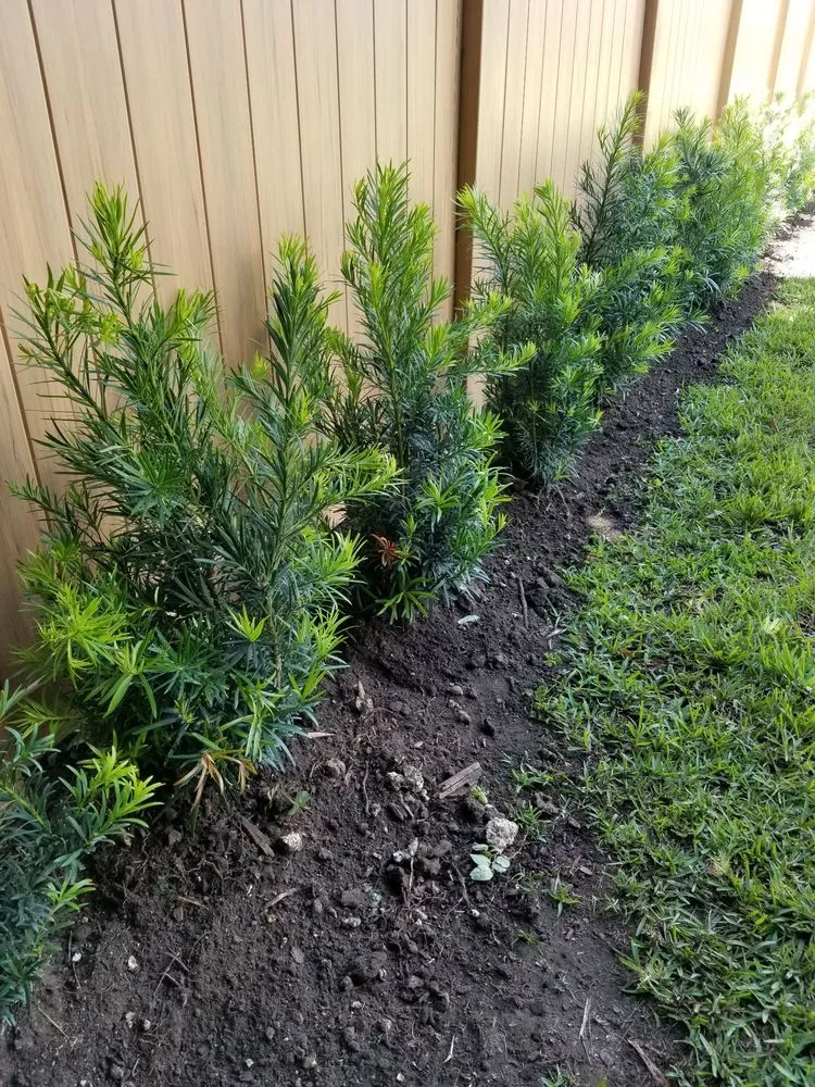 Top-rated garden landscaping experts serving Homestead, FL - Jf Nursery & Landscaping